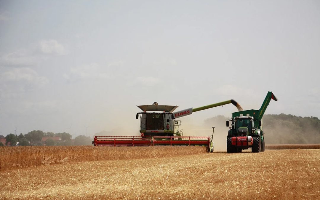 Guvernul Ciolacu a alocat în ultimul an agriculturii cel mai mare buget din istorie, peste 2% din PIB